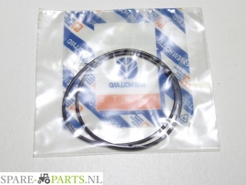 NH 9968008 Rubber ring