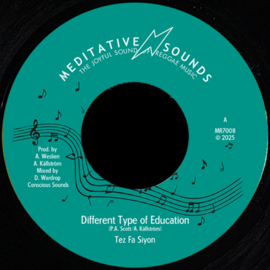 Tes Fa Siyon - Different Type of Education 7"