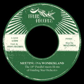 The 18th Parallel meets Horns Of Guiding Star Orchestra - Meeting Ina Wonderland 7"