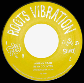 Aimann Raad ‎- In My Country 7"