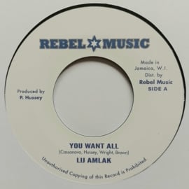 Lij Amlak - You Want All 7"