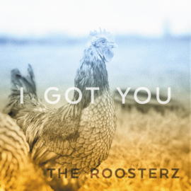 The Roosterz - I Got You 7"