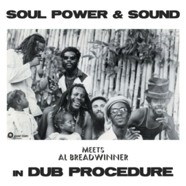 Soul Power & Sound Meets Al Breadwinner - In Dub Procedure LP