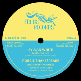 Sylvan White / Robbie Shakespeare / Earth Warrior / Delroy Melody - Magnetic Buzz Riddim 12"
