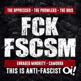 Various - FCK FSCSM LP