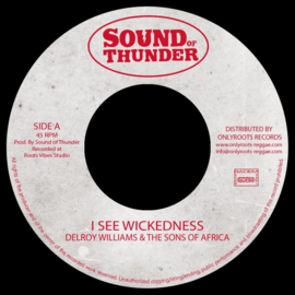Delroy Williams & The Sons Of Africa - I See Wickedness 7"