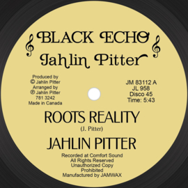 Jahlin - Roots Reality 12"