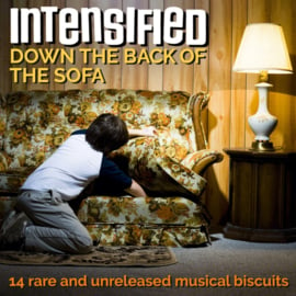 Intensified - Down The Back Of The Sofa LP