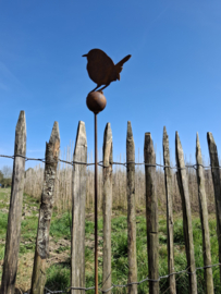 Tuinsteker vogeltje op kogel met staartje omhoog