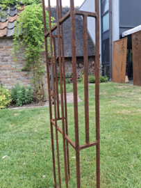 Rozenboog AURORA -25-