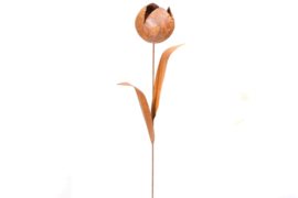 Tuinsteker bolle tulp/ pioen groot 3D