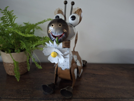 Medusa koe 'Heidi"met bloem"