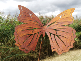 Tuinsteker vlinder  Farfalla -20-