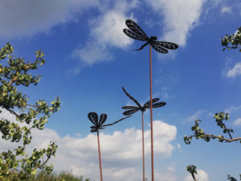 Tuinsteker met 3 libellen