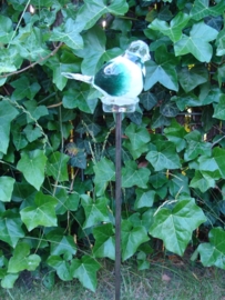 Tuinprikker vogeltje groen/wit van glas