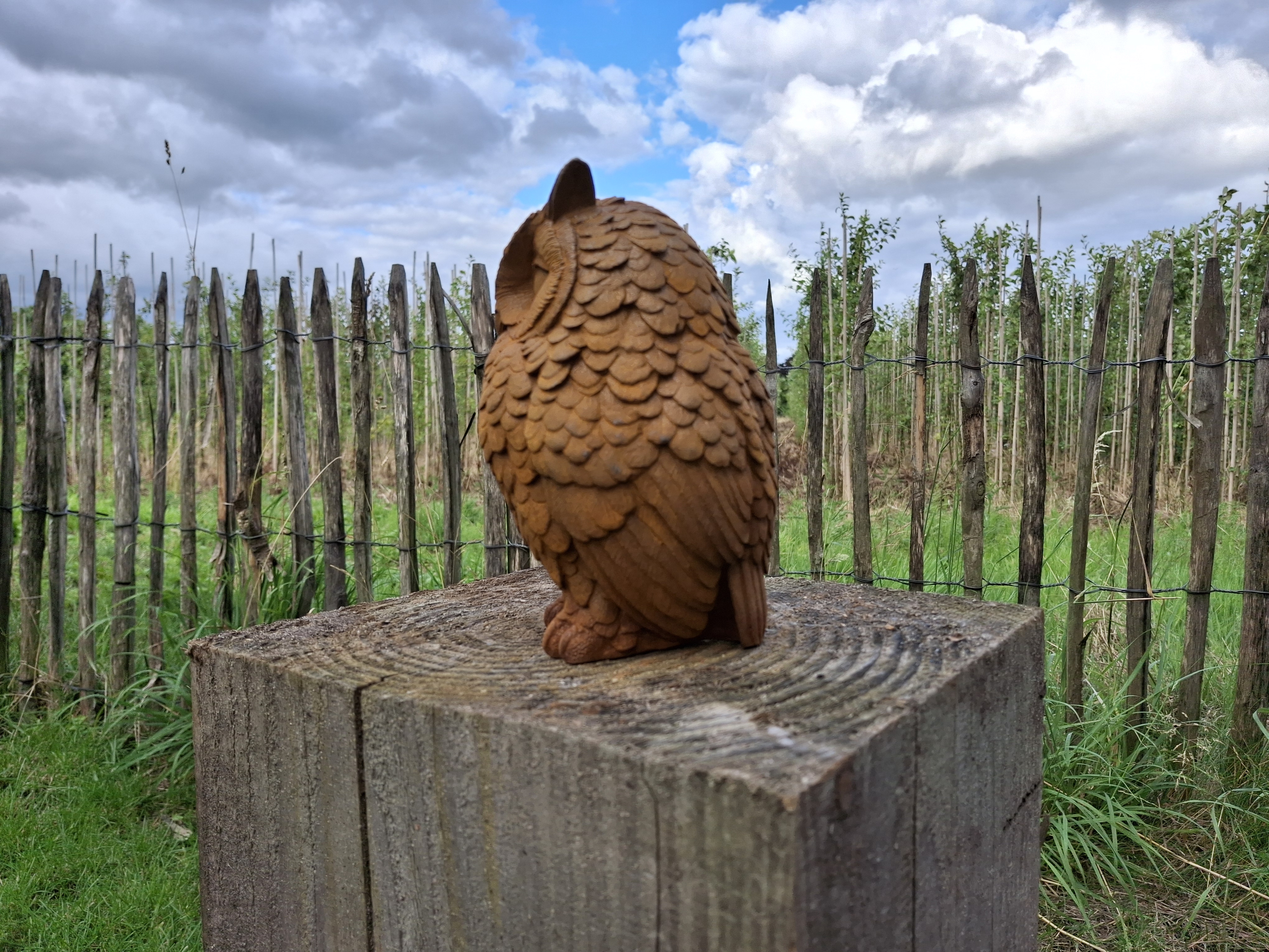 Tuinbeeld uil -M-