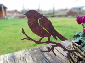 Vogel op takje met pin