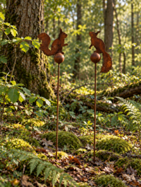 Planten stekers