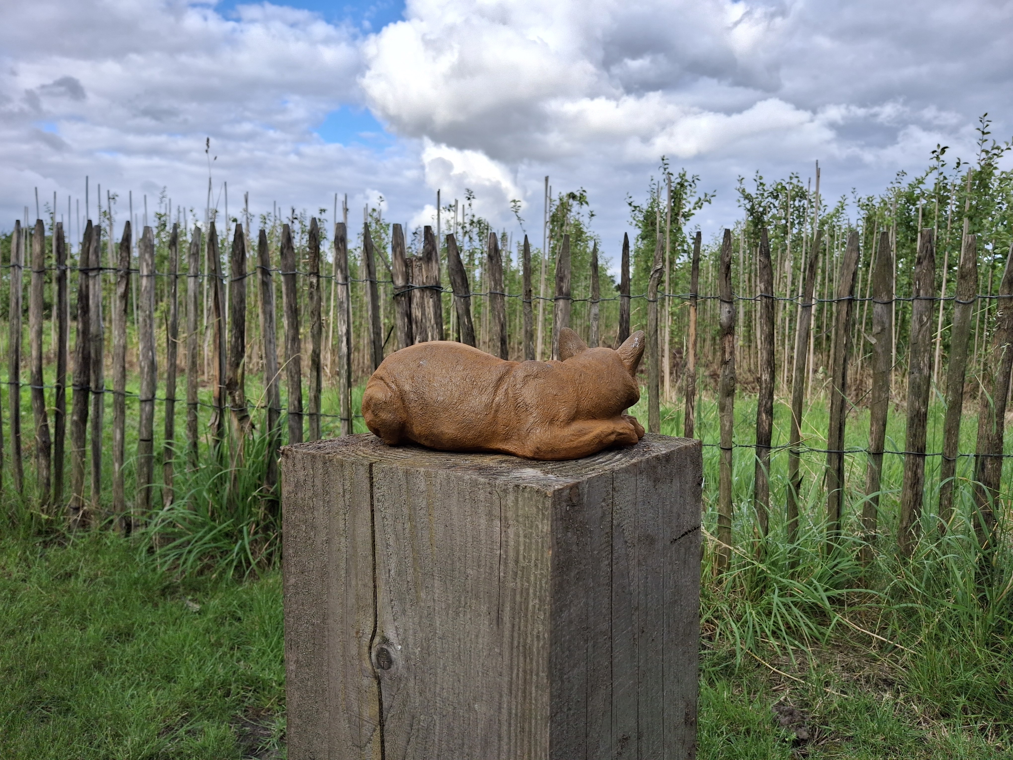 Tuinbeeld slapende kat