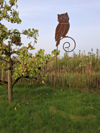 Tuinsteker uil met krulstaaf