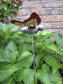 Medusa tuinsteker vlinder S -2-