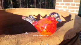 Glasvogeltje oranje/rood