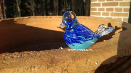 Glasvogeltje "Electric Blue"