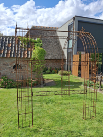 Rozentunnel Ambrosia spits -140-