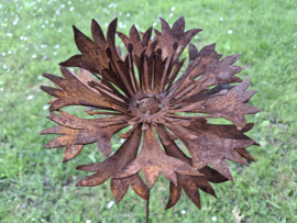 Tuinsteker korenbloem 3D