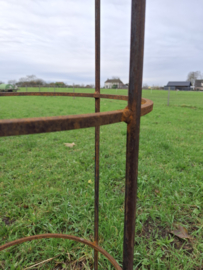 Plantensteun met krul -M-