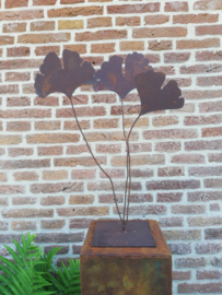 3 Ginkgo bladeren op flexibele steeltjes met voetplaat
