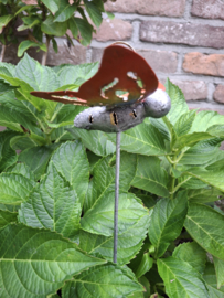 Medusa tuinsteker vlinder S -5-