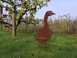 Gans staand van voren