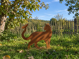 Poes lopend met vlinder op staart