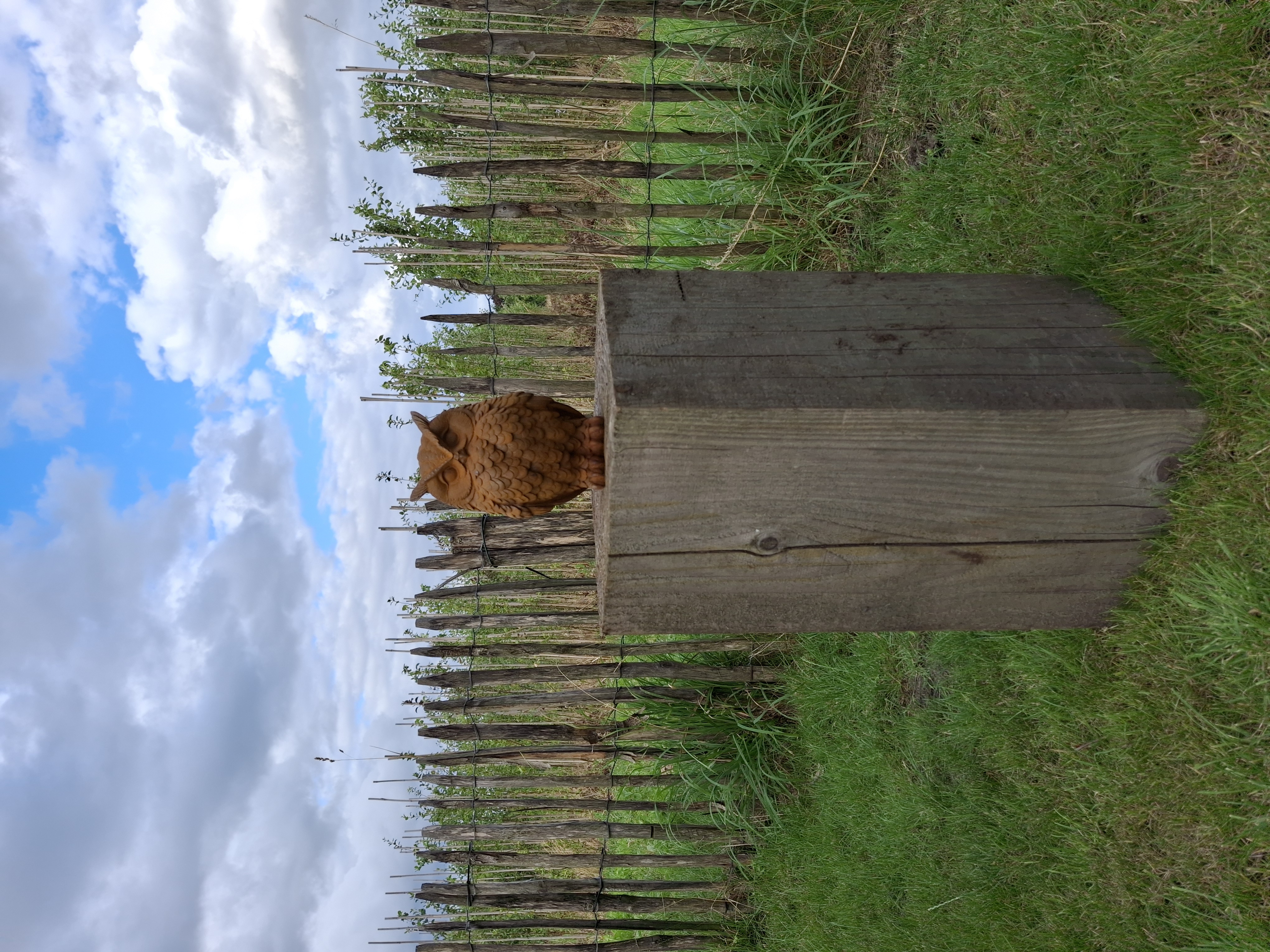 Tuinbeeld uil -M-