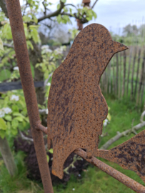 Plantenklimrek met vogeltjes smal