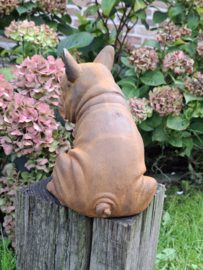 Kleine Engelse Bulldog van gietijzer