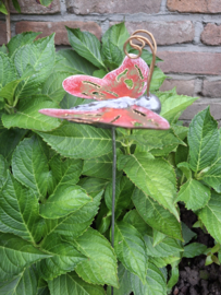 Medusa tuinsteker vlinder S -4-