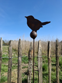 Tuinsteker vogeltje op kogel met staartje naar achteren