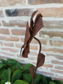 3D Tuinsteker boterbloem