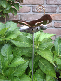 Medusa tuinsteker vlinder S -4-
