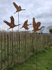 Tuinsteker kraanvogel -A-