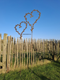 Tuinsteker hart met ranken -40-