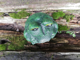 Groene kikker van gietijzer