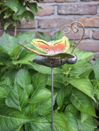 Medusa tuinsteker vlinder S -6-
