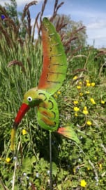 Medusa tuinsteker kolibrie -1-