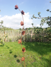 Tuinsteker bloemen slinger ( rankhulp-plantensteun)