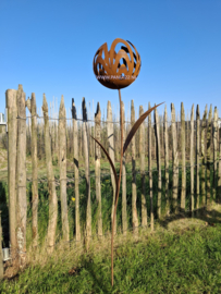 Tuinsteker open tulp