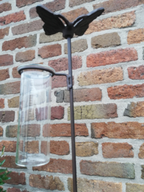 Regenmeter vlinder
