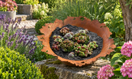 Schaal Riss -50-
